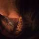 Ji-Ah’s foxtail emerging from her ear.